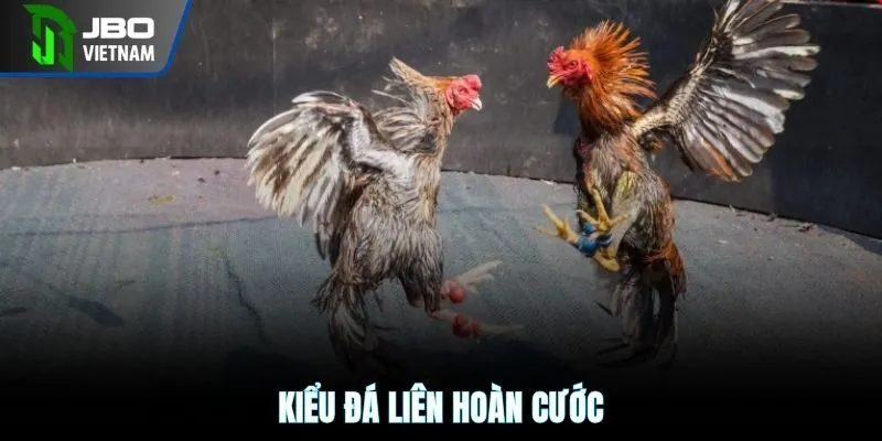 Kiểu đá liên hoàn cước